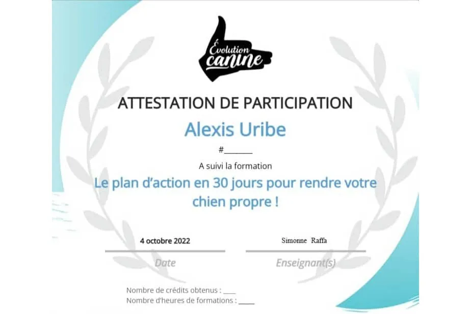 Attestation Propreté (Main de maître) - 2021