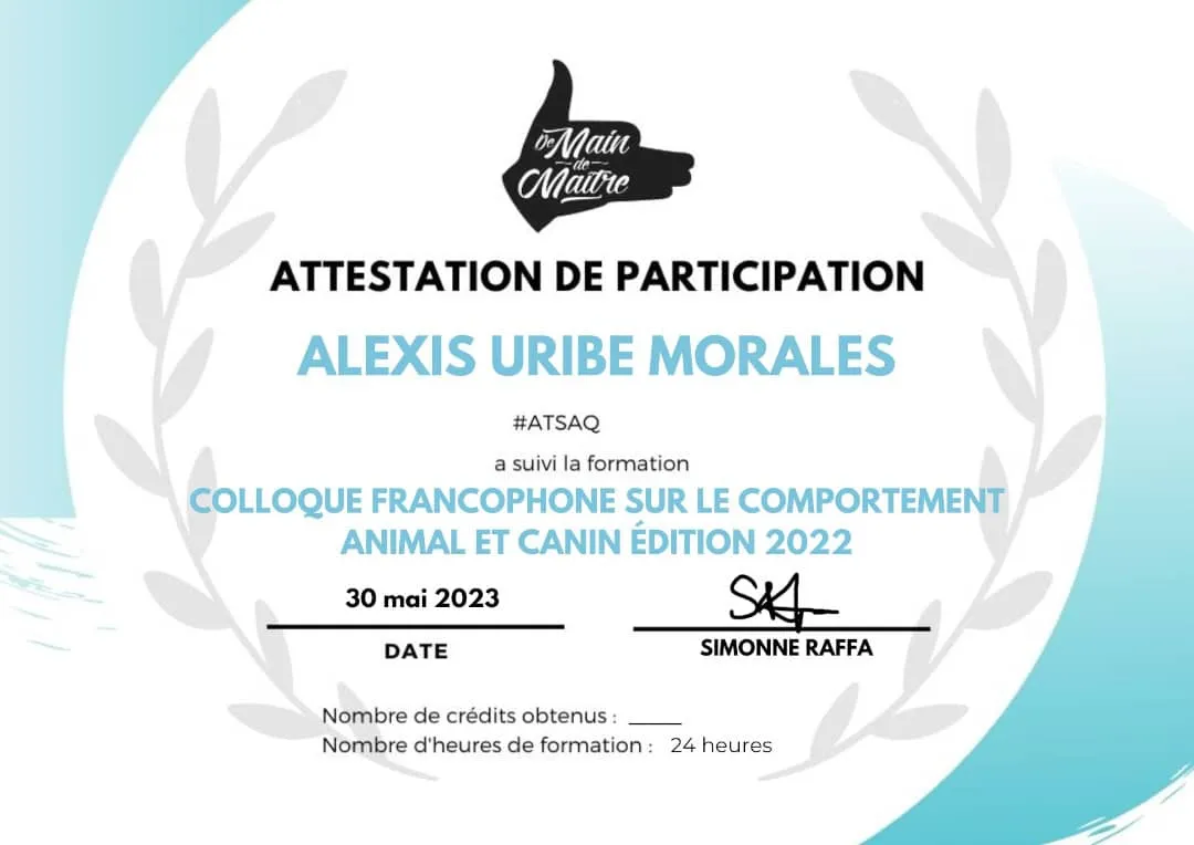 Attestation comportement canin (Main de maître) - 2022