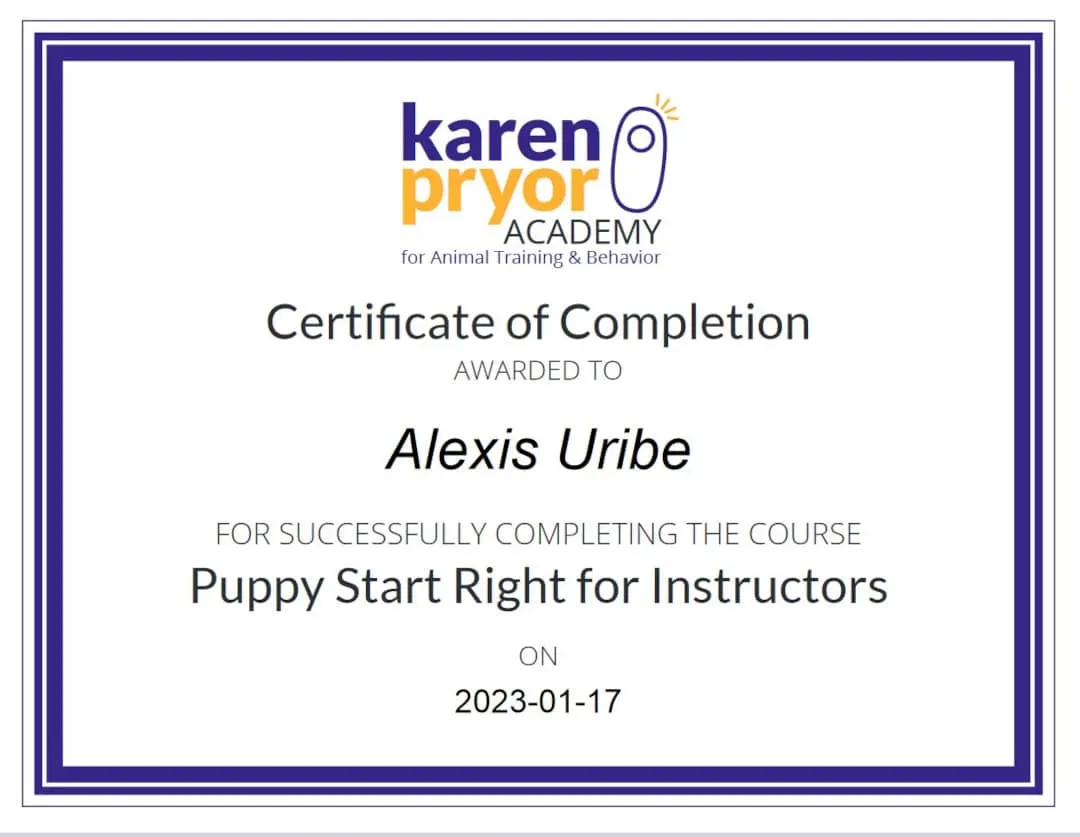 Certification Puppy start right 5karen Pryor Academy) 2023