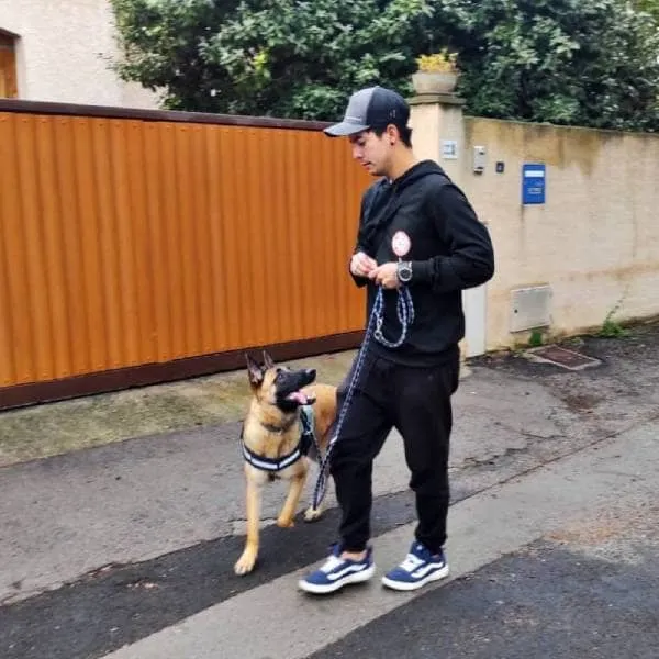 Alexis qui marche dans la rue avec un berger allemand qui le regarde
