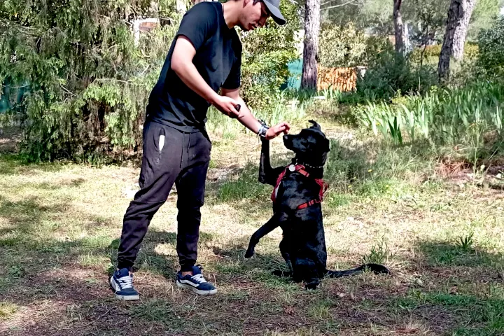 Alexis qui fait un figh five à un chien
