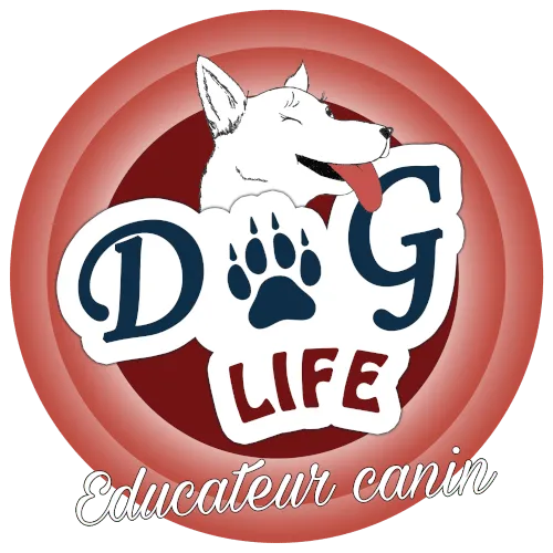 Logo de DogLife: un chien blanc qui fait un clin d'oeil