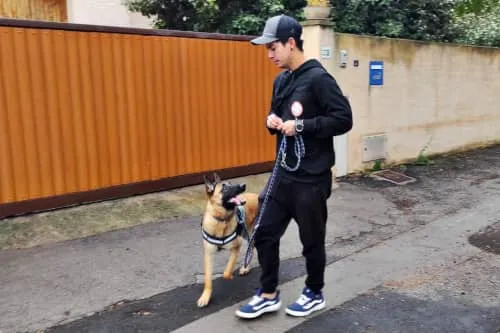 Alexis qui marche dans la rue avec un berger allemand qui le regarde